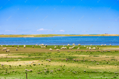 西宁到青海湖怎么去(西宁到青海湖怎么去大巴)