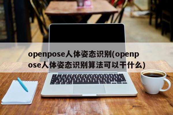 openpose人体姿态识别(openpose人体姿态识别算法可以干什么)