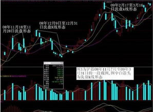 全市场仅8股下跌，股市的独特景象与深度解读