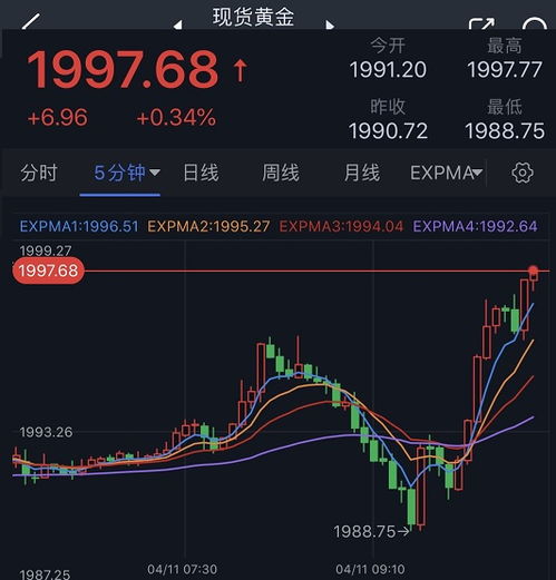 金饰价格逼近800元每克，市场走势分析与发展趋势预测