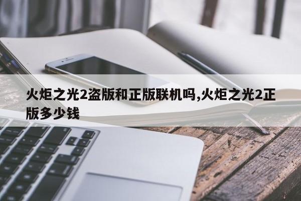 火炬之光2盗版和正版联机吗,火炬之光2正版多少钱