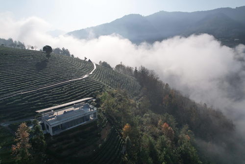 乡村风光摄影，捕捉乡村风景的魅力