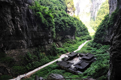 武隆天坑地缝旅游攻略(武隆天坑地缝景区开放时间)