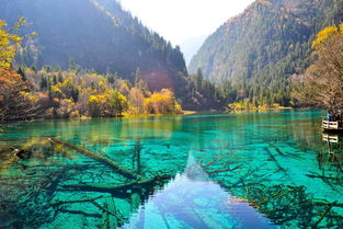 成都到九寨沟大巴(成都到九寨沟大巴车票多少钱)