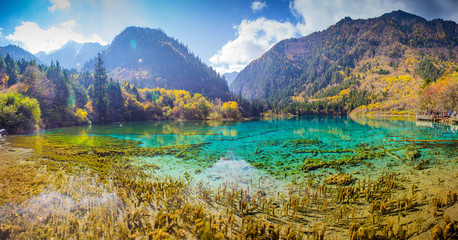 九寨沟风景名胜区(九寨沟风景名胜区在哪里)