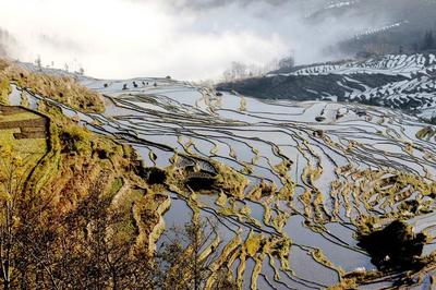 元阳梯田旅游攻略(云南元阳梯田几月份去最好)