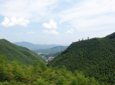 浙江安吉旅游必去十大景点(安吉十大旅游景点排行榜,你想去哪个?)