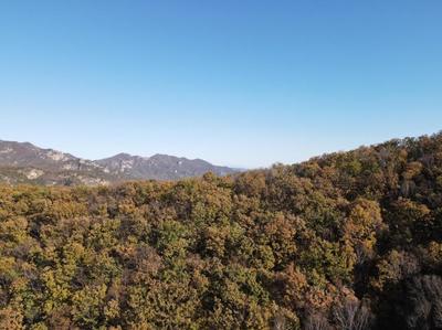 京郊自驾一日游免费最佳景点(京郊自驾游线路推荐)