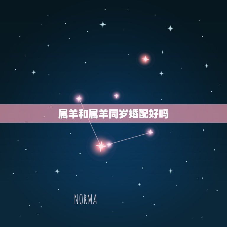 星座与血型和属相(星座与血型和属相有关系吗)