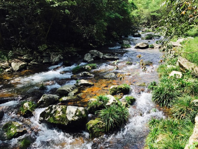 井冈山旅游攻略(井冈山旅游攻略自由行攻略一天)