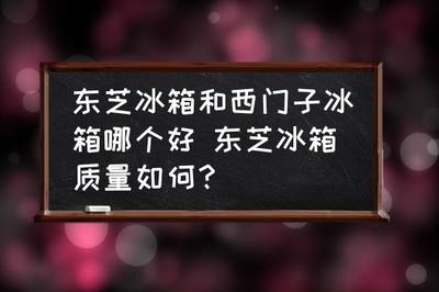 东芝冰箱质量怎么样(冰箱排名前十名)