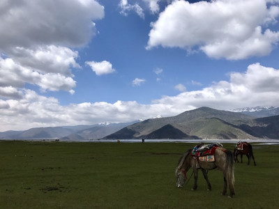 香格里拉(香格里拉开拓异境)