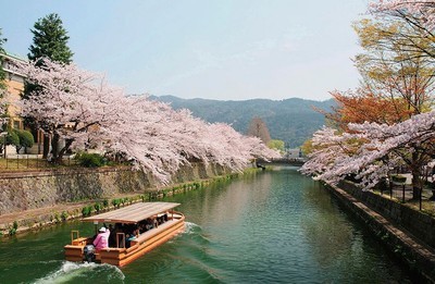 日本旅游多少钱(日本旅游多少钱跟团费)