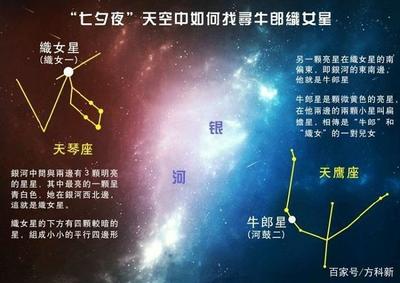 牛郎星是什么星座的主要标志(牛郎星是哪一个星座的)