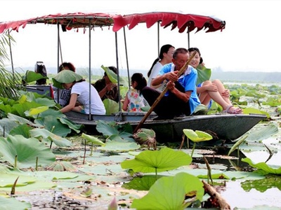 白洋淀旅游景点大全(白洋淀旅游指南)