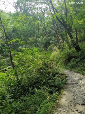 祥峪森林公园旅游攻略(祥峪森林公园门票多少钱)