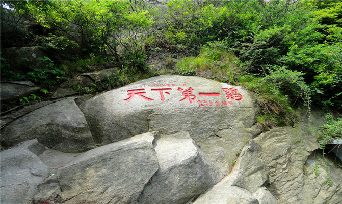 河南最凉快的避暑景区(河南最凉快的避暑景区伏牛山老界岭)