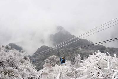 金佛山天气(金佛山天气预报)