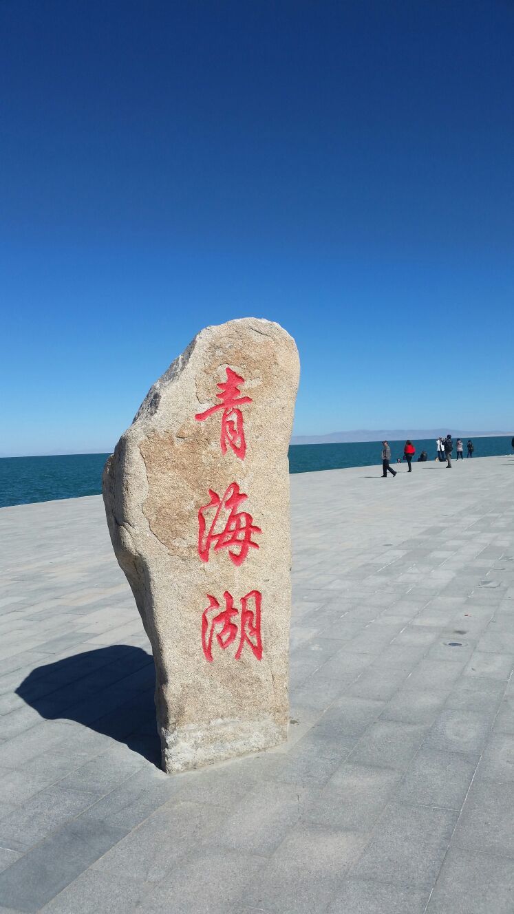 西宁到青海湖一日游(西宁到青海湖一日游最好的路线)