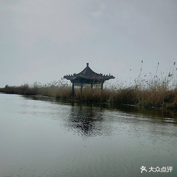 白洋淀天气(白洋淀天气预报一周的天气)