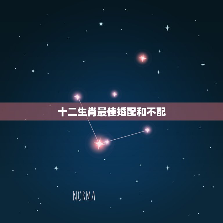 12星座相配(12星座相配表)