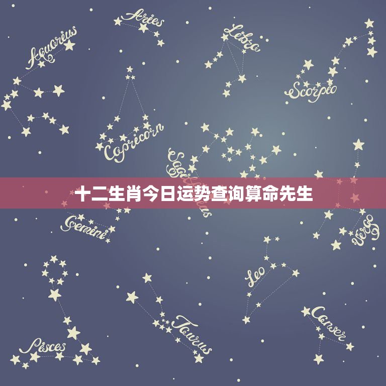 每日星座运势准不准(每日星座运势查)