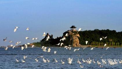 夏天去哪里旅游最好(夏天旅游适合去的地方)