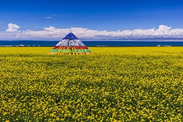 青海湖旅游攻略(青海湖旅游攻略及花费)