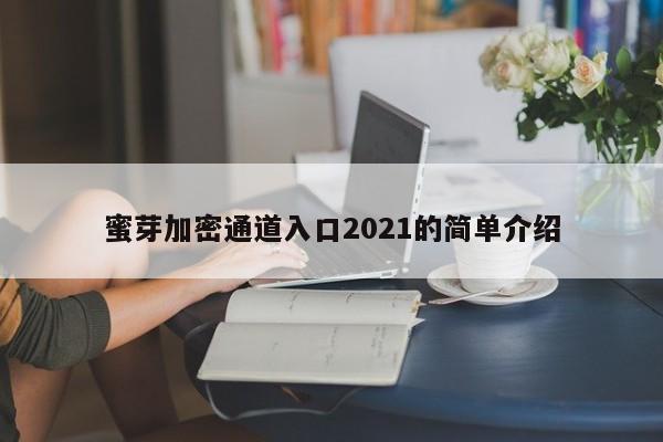 蜜芽加密通道入口2021的简单介绍