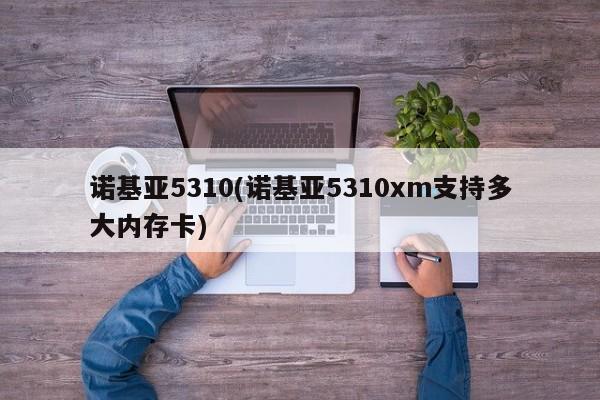 诺基亚5310(诺基亚5310xm支持多大内存卡)