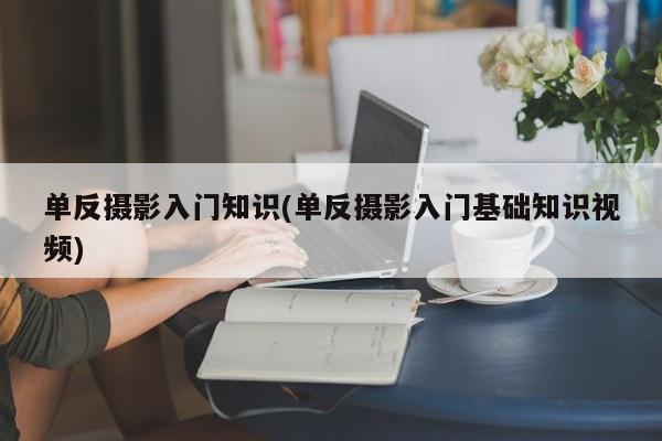 单反摄影入门知识(单反摄影入门基础知识视频)