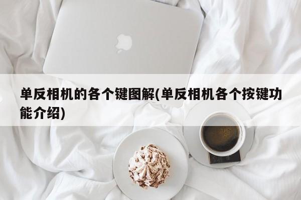 单反相机的各个键图解(单反相机各个按键功能介绍)